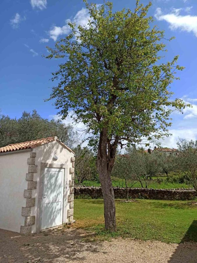 Holiday House Vela Vrta Sveti Ivan Dobrinjski Buitenkant foto