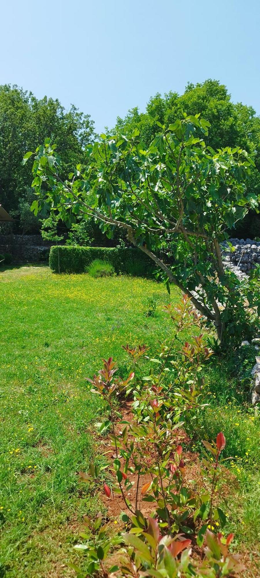 Holiday House Vela Vrta Sveti Ivan Dobrinjski Buitenkant foto