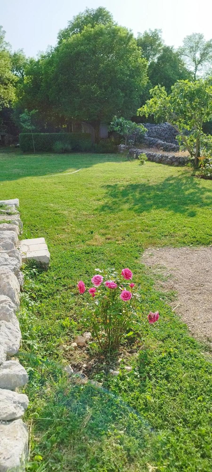 Holiday House Vela Vrta Sveti Ivan Dobrinjski Buitenkant foto